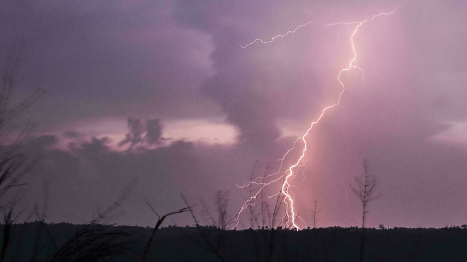 Đang cấy lúa, hai phụ nữ bị sét đánh chết thương tâm