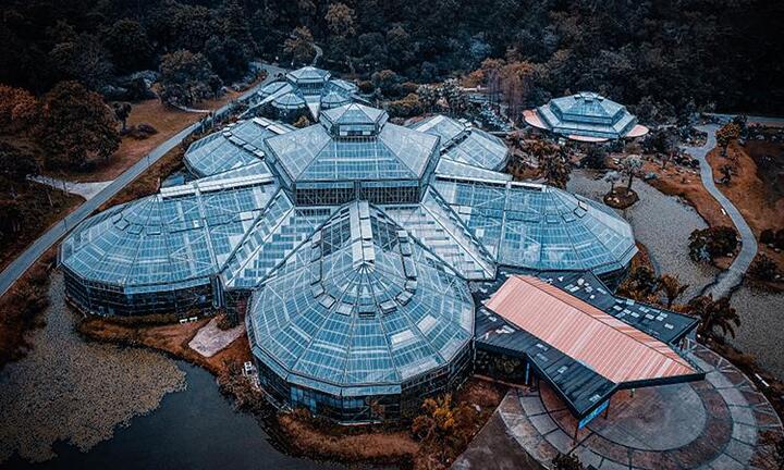 Video: Khám phá vườn thực vật cận nhiệt đới lớn nhất thế giới