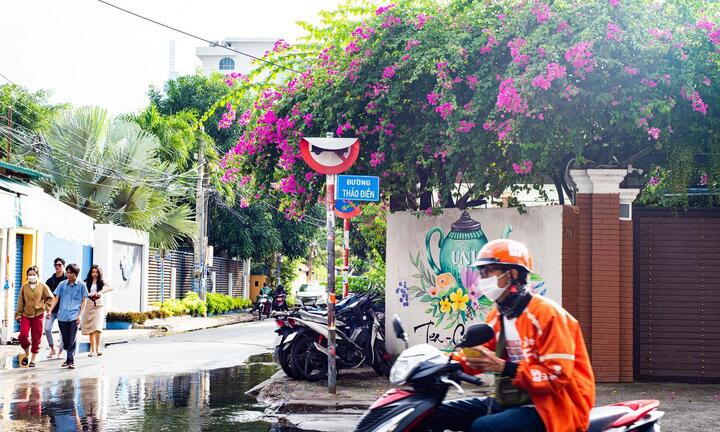 Không hỏng cũng 'núp' lùm cây, nhiều biển báo ở TP.HCM đánh đố người đi đường