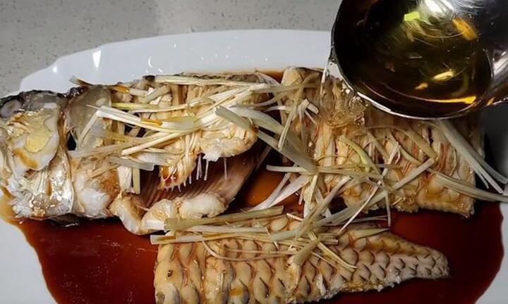 Nghe dân mạng, chủ cá có màn xử lý cá rồng bị chết vừa 'bi thương' vừa hài hước