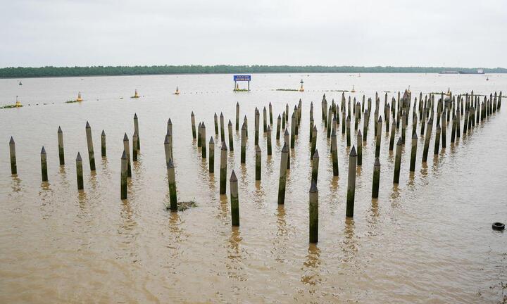 Video: Bãi cọc huyền thoại trên Bạch Đằng Giang