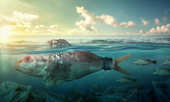 Tập huấn nâng cao năng lực truyền thông về giảm thiểu rác thải nhựa đại dương