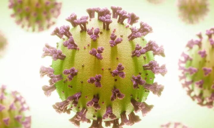 Biến thể phụ BA.2.12.1 vừa xuất hiện ở Việt Nam nguy hiểm thế nào?