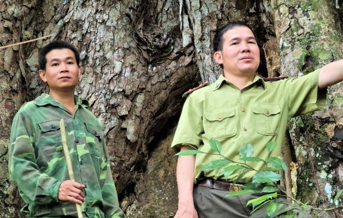 'Người rừng' và giấc mơ kiểm lâm viên dang dở