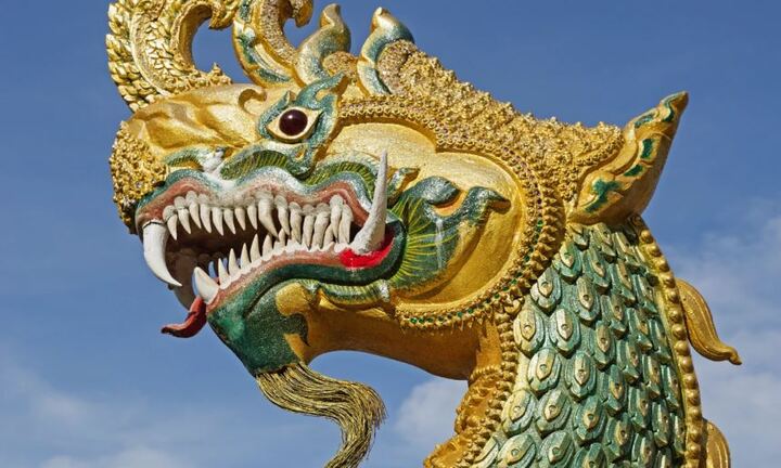 Có một vùng đất rắn thần hiện diện khắp nơi