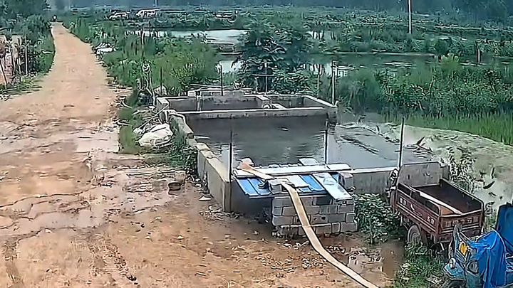 Video: Vỡ ao, 10 tấn cá bị nước cuốn trôi