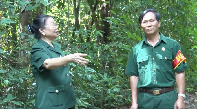 ‘Nữ tướng’ giữ rừng