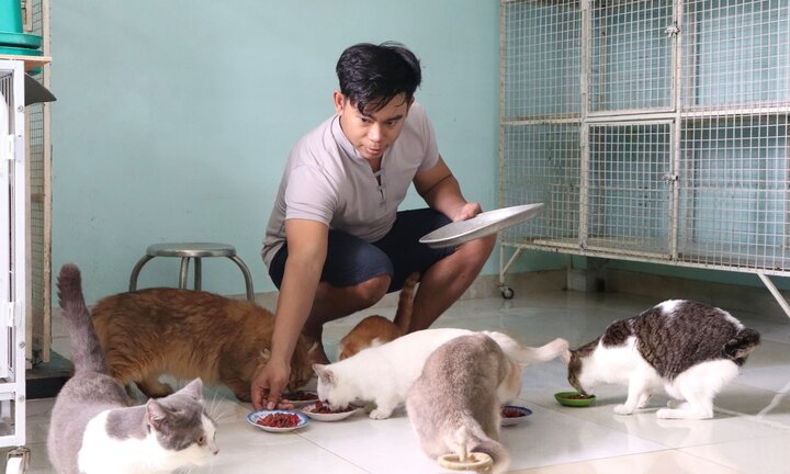 Chàng trai 'dựng nhà trẻ, làm bà đỡ' cho mèo hoang