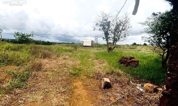 Cỏ dại bao phủ những 'siêu dự án' phân lô, bán nền ở Lâm Đồng sau thời sốt nóng