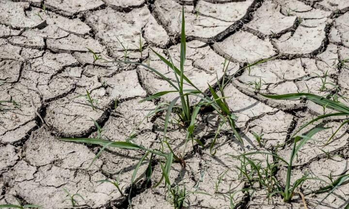 Hạn hán nghiêm trọng nhất trong 60 năm qua ở Pháp