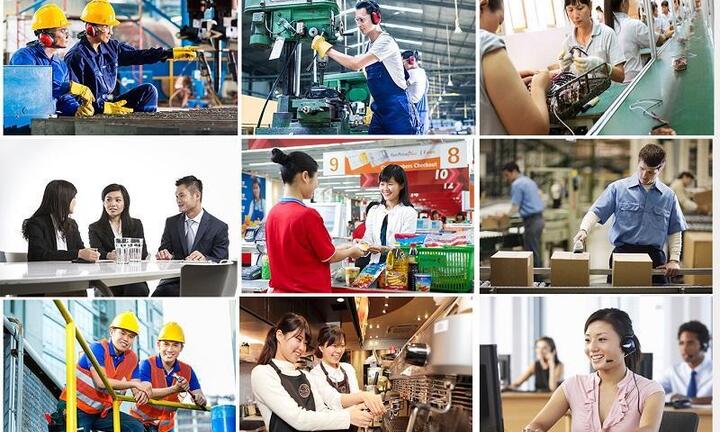Kiến Vàng 247 - Công ty cung ứng lao động uy tín tại TP.HCM