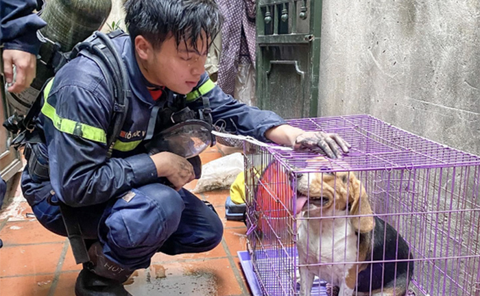 Bức ảnh chiến sĩ cứu hỏa Đỗ Đức Việt bên chú chó khiến cộng đồng mạng rơi lệ