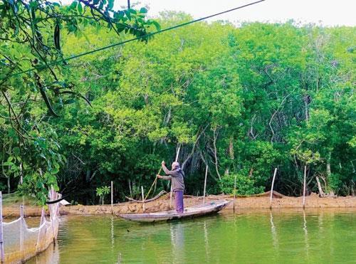 Chuyện người giữ rừng Rú Chá