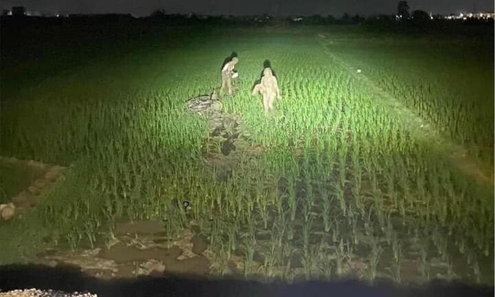 Đang yên lành, cặp đôi lao xuống ‘cày ruộng’ giữa đêm với bộ dạng gây ngao ngán