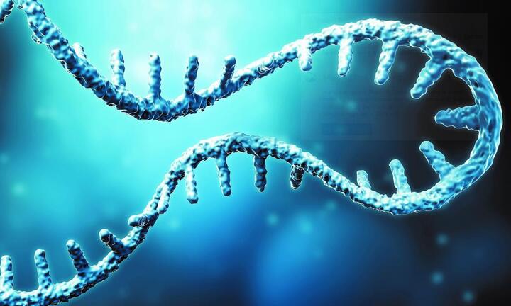 Phát hiện loại 'gene nhảy' ở chuột có thể giúp con người điều trị bệnh nan y