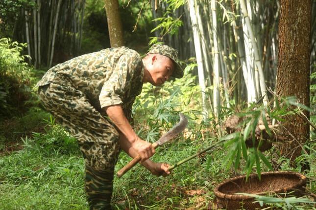 Nghề săn trứng kiến