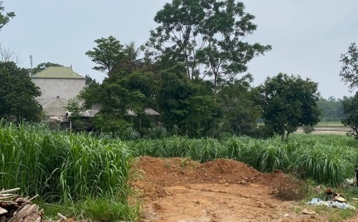 'Thương vụ' nực cười nhất thời sốt đất: Bãi cỏ sâu trong ngõ cũng có giá 2,5 tỷ