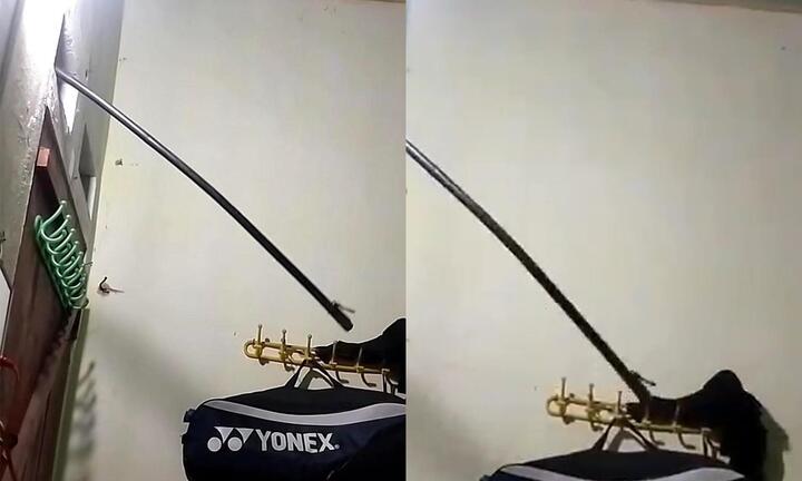 Mở đèn suốt đêm để ngủ, nửa khuya giật mình tỉnh dậy phát hiện ‘cảnh tượng lạ’