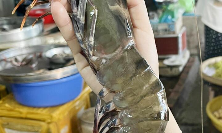 Tôm sú khổng lồ giá 650.000 đồng/kg