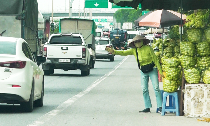 Bán ổi làm loạn đầu cao tốc Hà Nội - Hải Phòng, lực lượng chức năng bất lực
