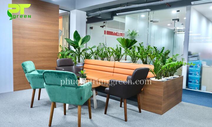 Phương Trung Green - Công ty cho thuê cây xanh văn phòng TP.HCM uy tín