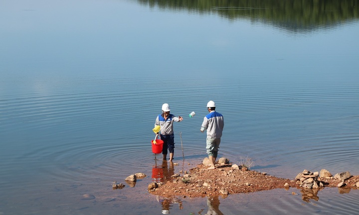 Điều tra nguyên nhân khiến cá chết hàng loạt tại hồ Bộc Nguyên
