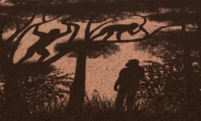 Hài cốt người 7 triệu tuổi mang đột phá tiến hóa, viết lại lịch sử nhân loại