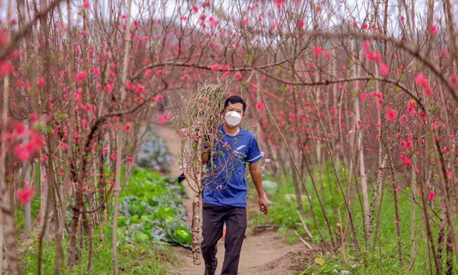 Dự kiến người lao động được nghỉ 19 ngày lễ, Tết trong năm 2023