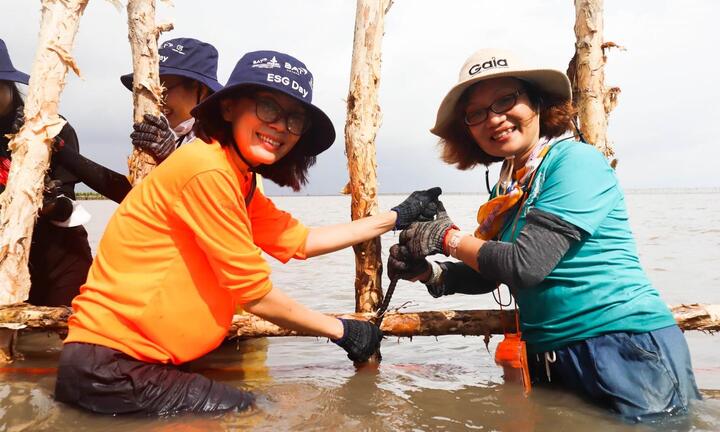 BAT Việt Nam cùng Gaia 'phủ xanh' 120 ha rừng trồng tại Việt Nam