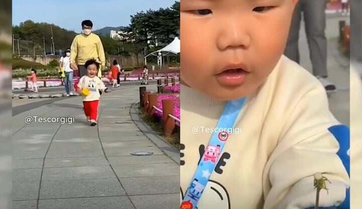 Biểu cảm cực đáng yêu của em bé khi bông hoa biến mất