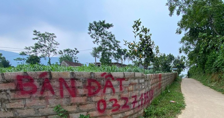 Cái kết thảm khi chạy theo ‘giấc mơ tỷ phú’ nhờ bán đất