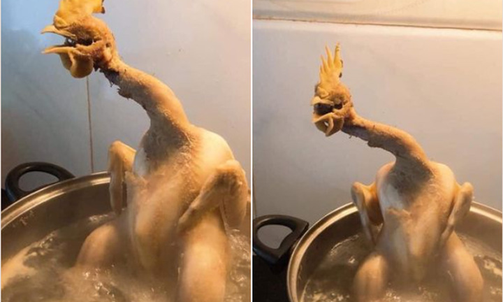 Đố nhịn cười khi xem ảnh thảm họa nấu ăn của 'những kẻ ghét bếp' này