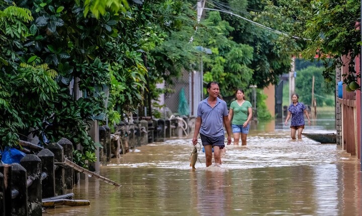 Video: Người dân ngoại thành Hà Nội bì bõm trong nước lũ