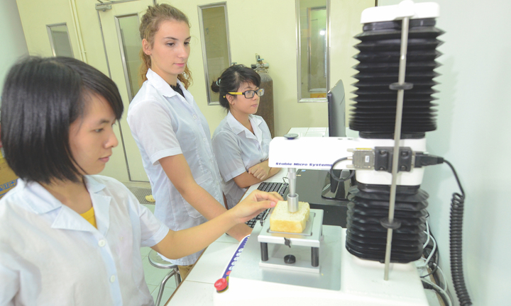 Hơn 400 đề tài của sinh viên tranh giải thưởng Khoa học và Công nghệ năm 2022