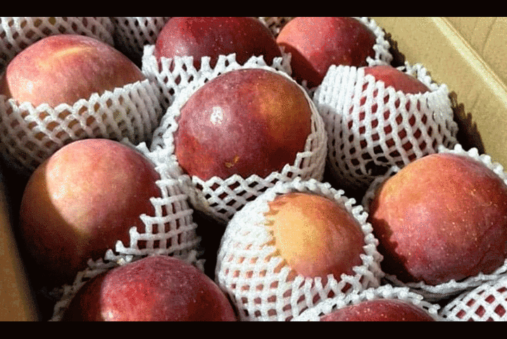 Táo đá Trung Quốc giá siêu rẻ ‘làm mưa làm gió’ tại chợ