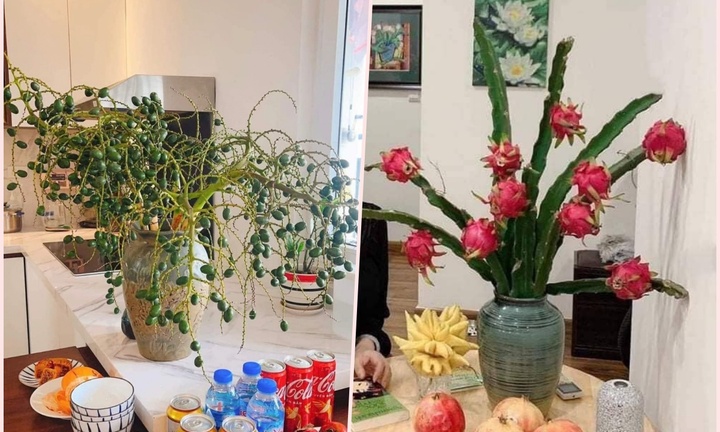 Khách thích trưng đồ độc lạ, cành cọ, cành thanh long bỗng chốc hút hàng