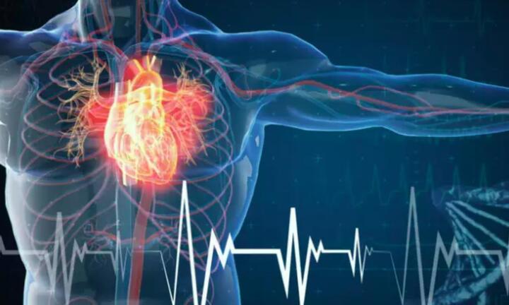 Sự thiếu hụt vitamin này có thể làm hỏng thành động mạch của bạn