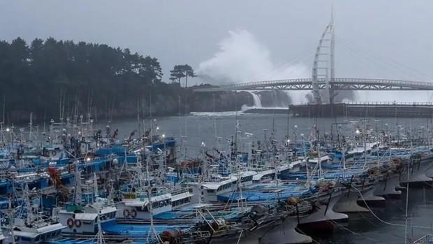 Nhật Bản và Hàn Quốc sẵn sàng ứng phó với siêu bão Nanmadol