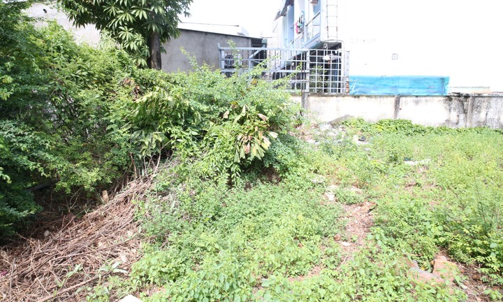 Di tích 300 tuổi ở TP.HCM thành phế tích