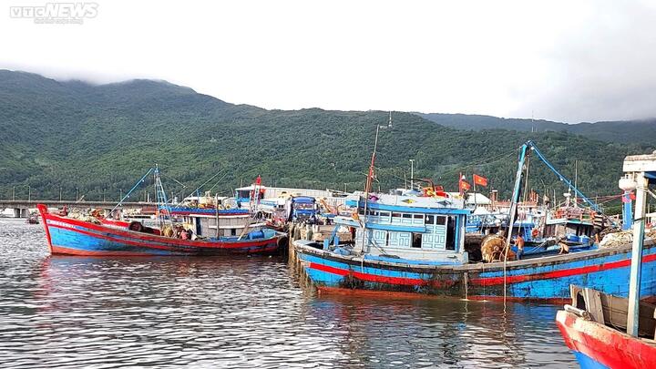 Đà Nẵng: Cấm biển, không để ngư dân ở lại tàu, thuyền khi bão Noru đổ bộ