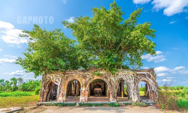 Vẻ cổ kính bí ẩn ở ngôi đình trăm tuổi ‘hợp nhất’ với cây bồ đề