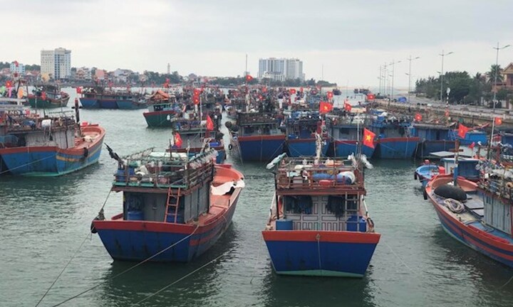 Đưa thuyền tới khu tránh bão, một ngư dân Quảng Bình rơi xuống biển mất tích