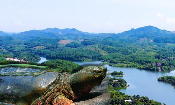 Theo dấu ‘thuồng luồng’: Bí ẩn đầm Ao Châu