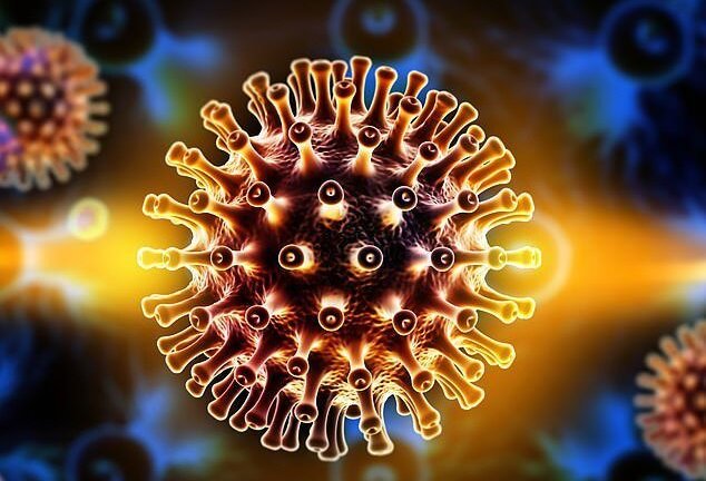 Ai dễ nhiễm virus Adeno?