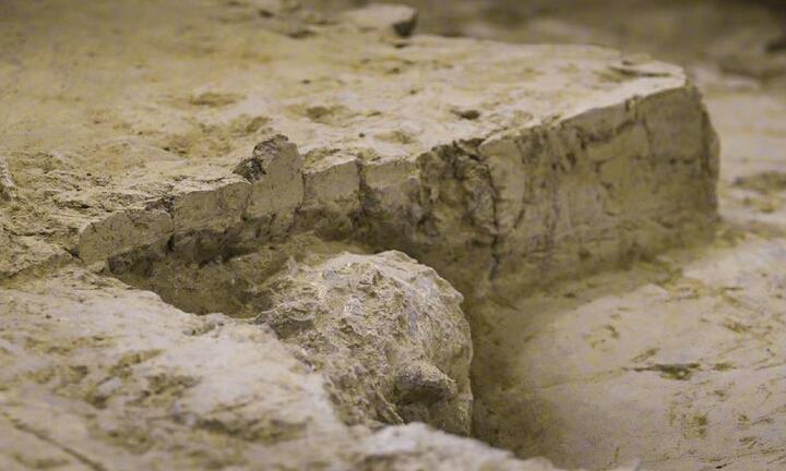 Phát hiện hộp sọ người hoàn chỉnh một triệu năm tuổi ở Trung Quốc