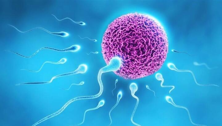 Nguyên nhân nào khiến nam giới vô tinh?