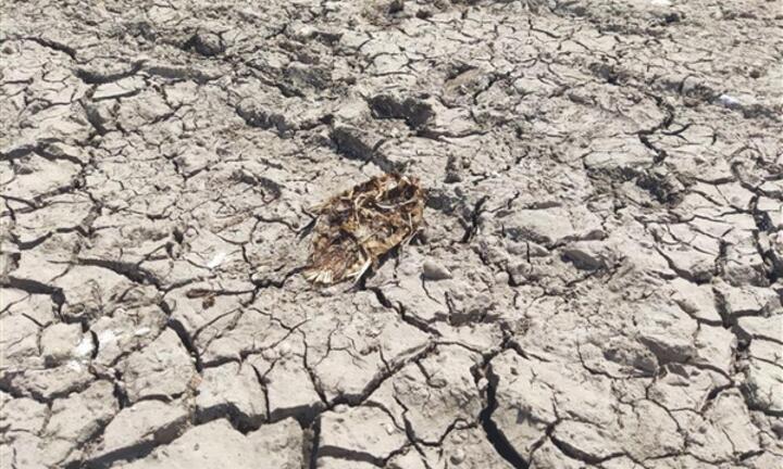 Trung Quốc phát đi cảnh báo hạn hán 45 ngày liên tiếp