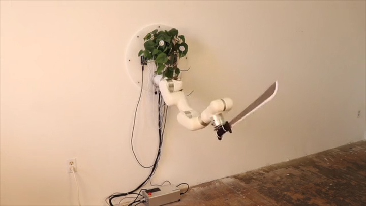 Video: Cây cảnh điều khiển cánh tay robot 