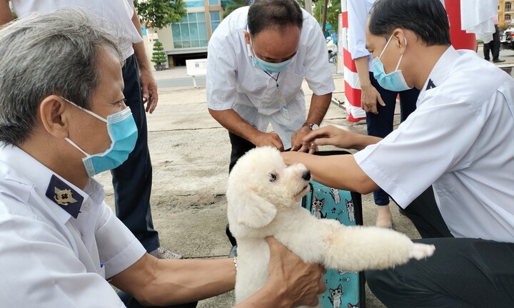 Bệnh dại bùng phát tại tỉnh Bến Tre, số ca tử vong đứng đầu cả nước