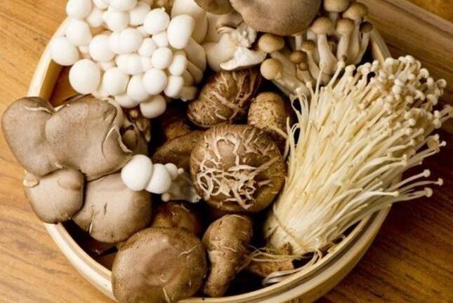 Những lưu ý ‘sống còn’ khi ăn nấm, cấn nhớ kỹ kẻo ngộ độc chết người